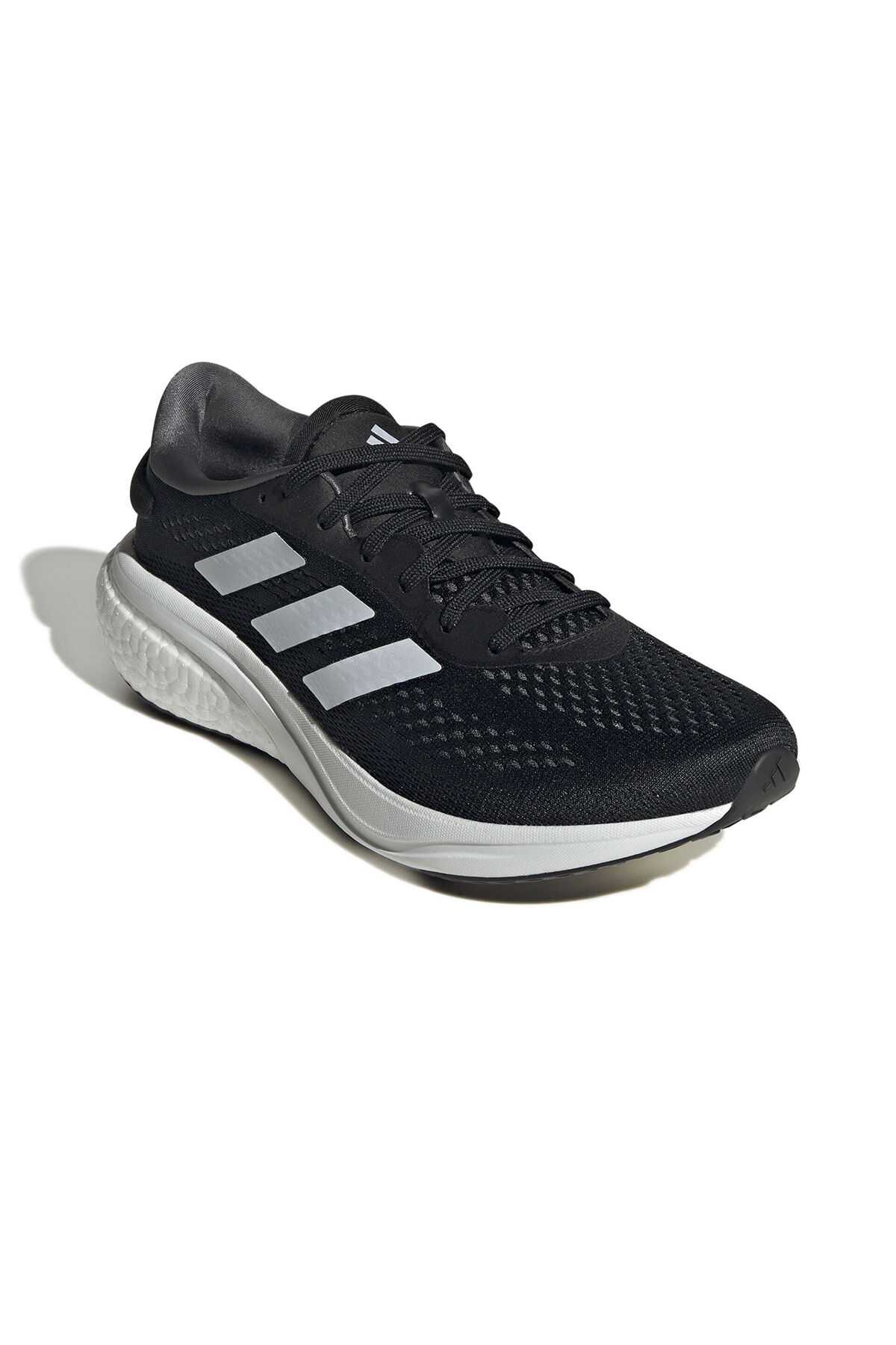 کفش های در حال اجرا Supernova Gore-Tex