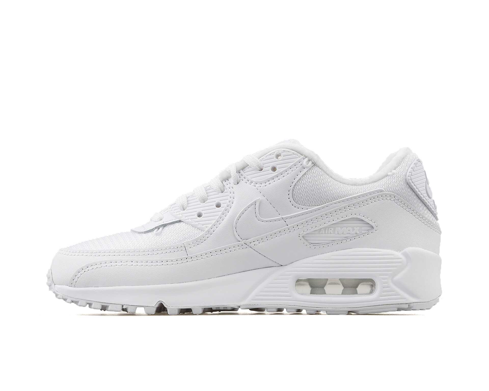 کفش های روزانه W Air Max 90 Prm