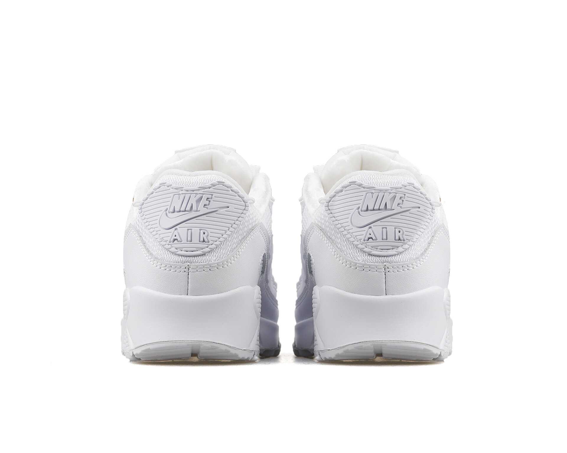 کفش های روزانه W Air Max 90 Prm