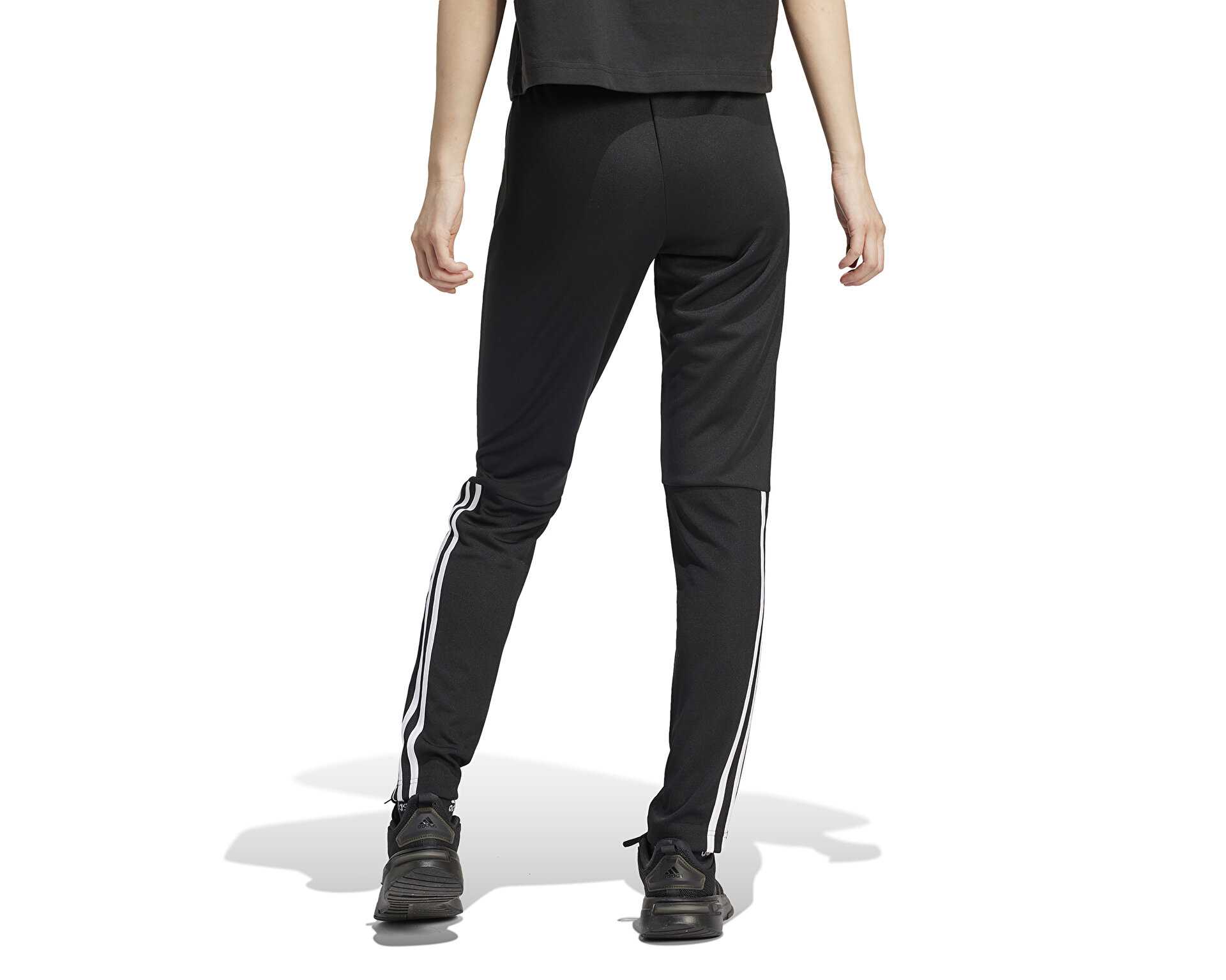 شلوار فوتبال W Sereno Pt