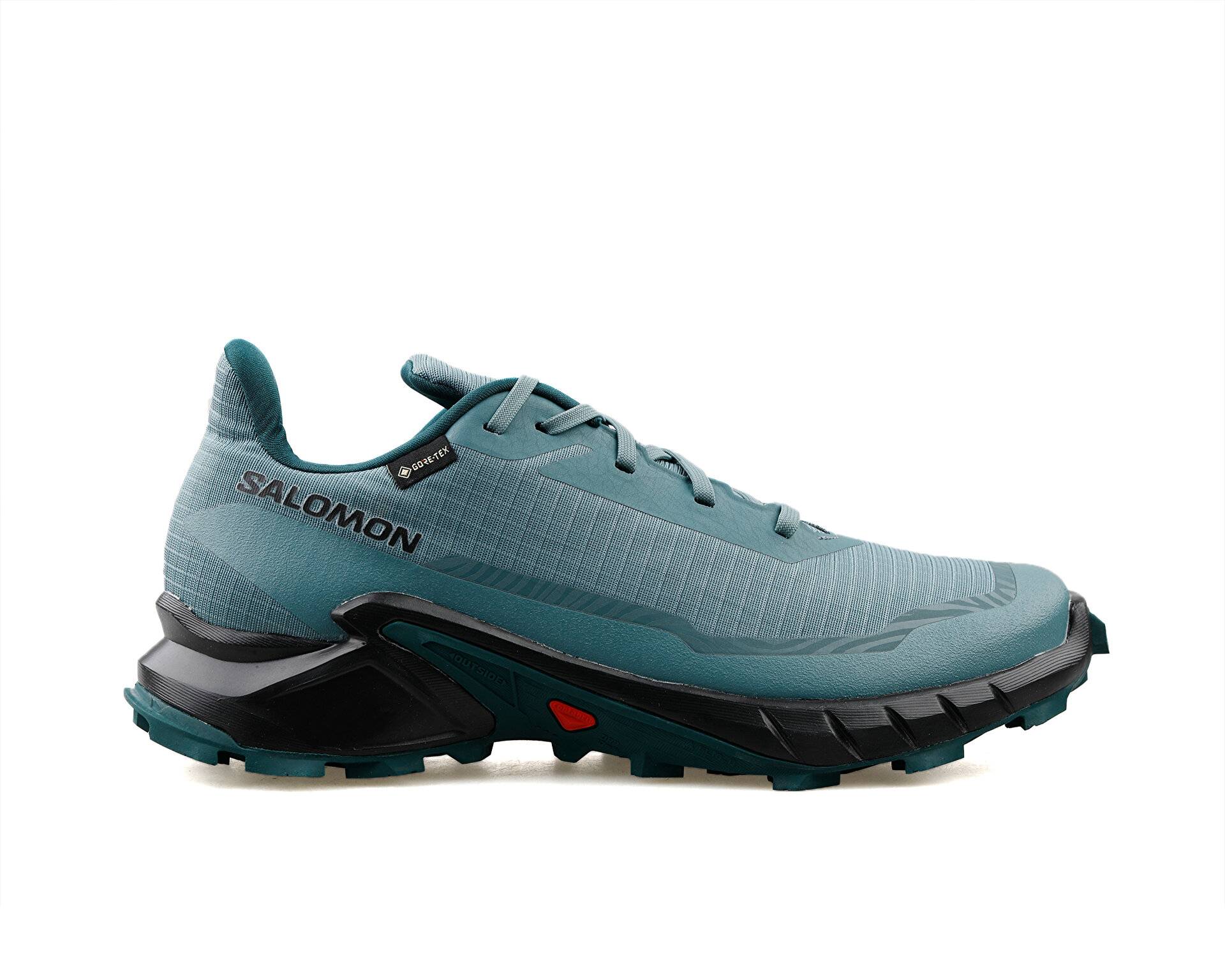 کفش دویدن Alphacross 5 Gtx W